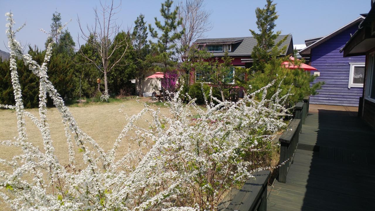 Windflower Villa คยองจู ภายนอก รูปภาพ